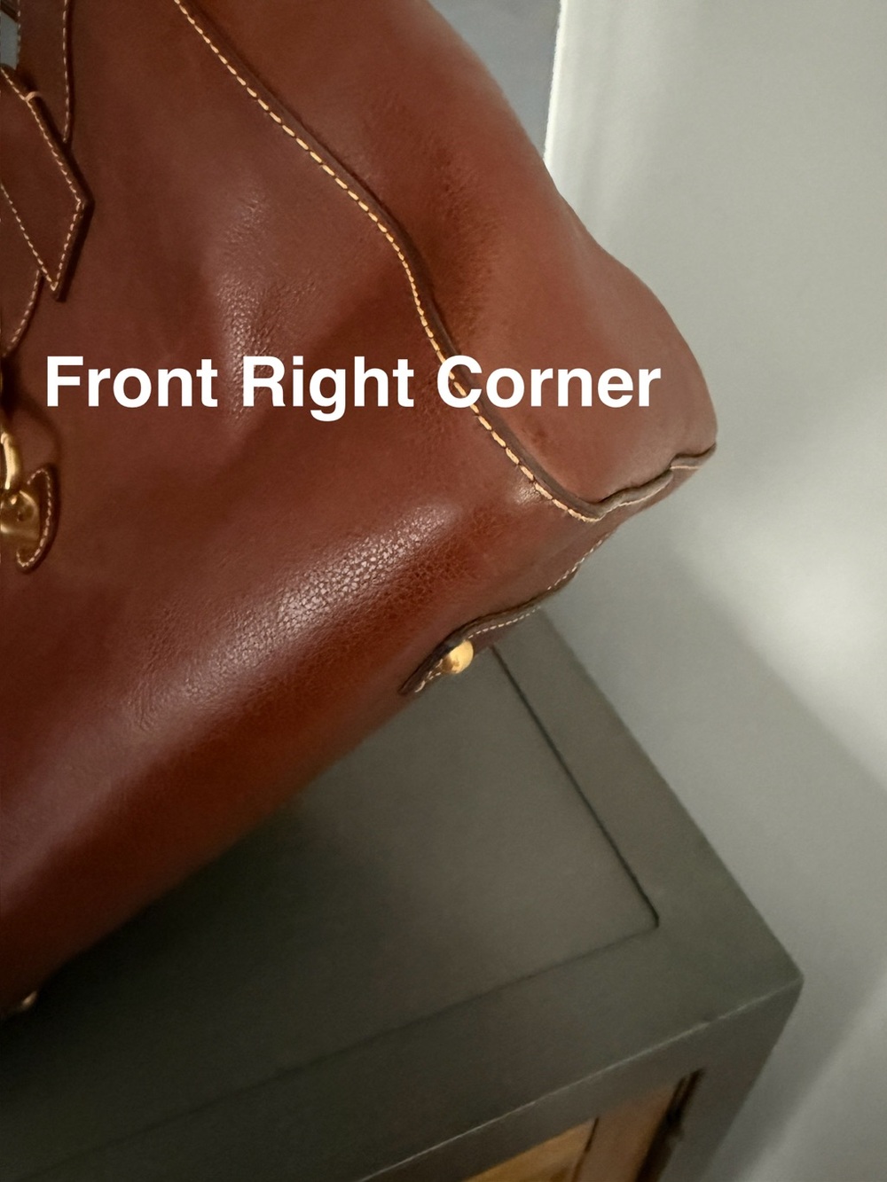 Dooney & Bourke Florentine Amelie Logo Lock Tote - Picture 12 of 16
